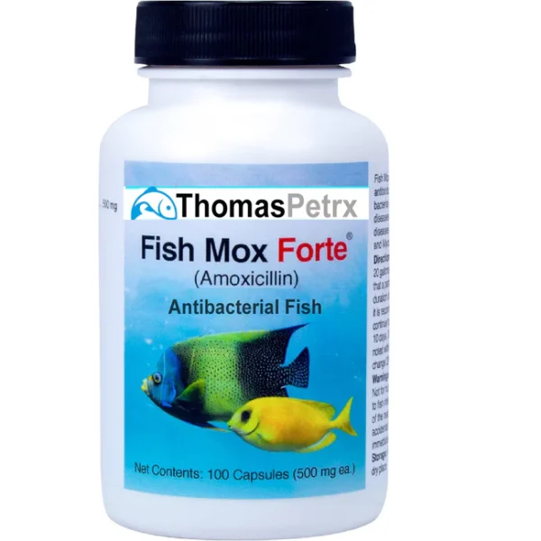 Amoxicillin Forte 500 mg For Fish, Capsule - 100 count